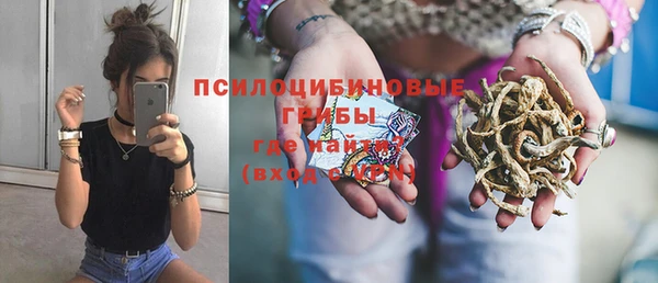 мдпв Лихославль