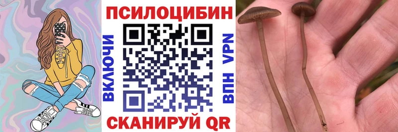 Галлюциногенные грибы прущие грибы  Десногорск 