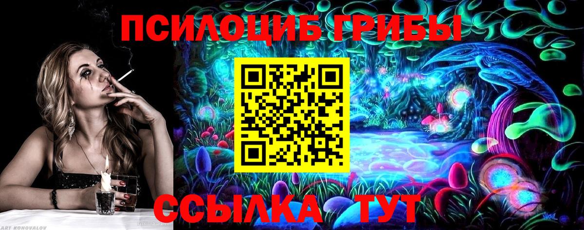 Галлюциногенные грибы Psilocybe  Псилоцибиновые грибы мухоморы  купить  цена  Десногорск 