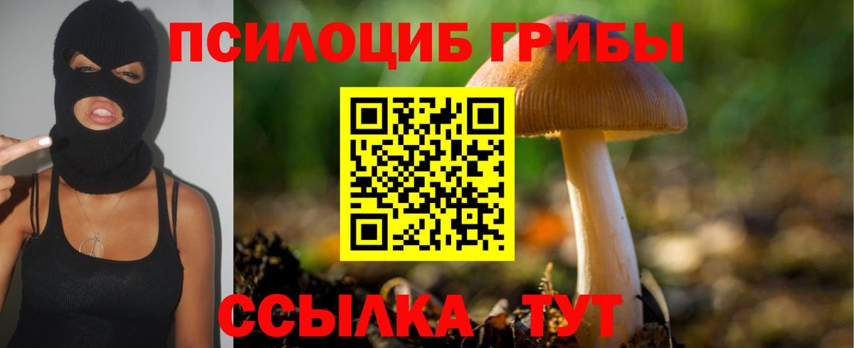 Десногорск  Псилоцибиновые грибы Psilocybine cubensis  Галлюциногенные грибы ЛСД  где продают   Вход с VPN 